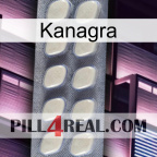 Kanagra 08
